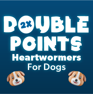 Dog heartwormers