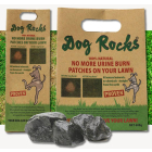 Dog Rocks 
