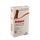 Selapro Dog Medium 10-20kg Red