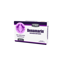 Denamarin for Large Dogs Over 33 lbs 30 Tablets CanadaVet
