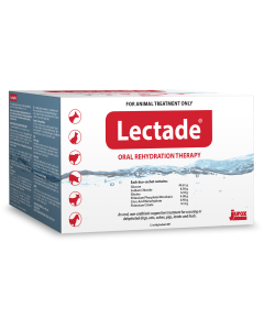 Lectade Oral Rehydration Therapy Sachets 12-Pack