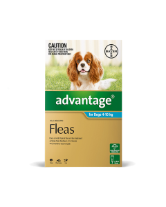 Advantage Dog Medium 11 - 20lbs Aqua