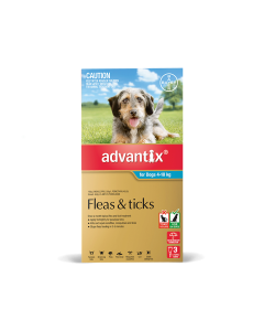 Advantix Dog Medium 8.8 - 22lbs Aqua