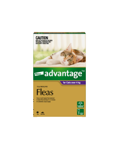 Cheap vet supplies online hotsell