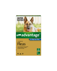 Advantage Dog Extra Large Over 55lbs Blue