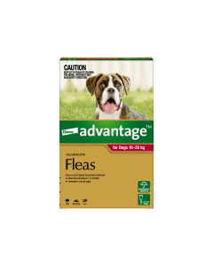 Advantage Dog Large 22.1 - 55lbs Red