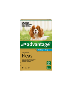 Advantage Dog Medium 11 - 20lbs Aqua