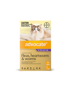 Advocate Cat Over 9lbs Purple