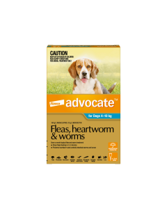 Advocate Dog Medium 4-10kg Aqua