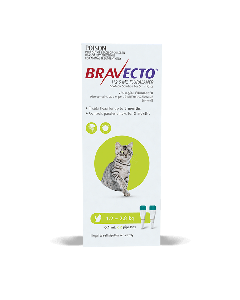 Bravecto Spot On for Cats 2.6 - 6.2lbs Green 2 Pack