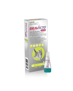 Bravecto Plus for Cats 2.6-6.1lbs green