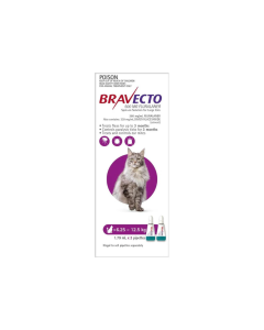 bravecto cat flea treatment