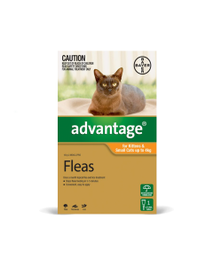Advantage Kitten & Cat Small Up To 9lbs Orange