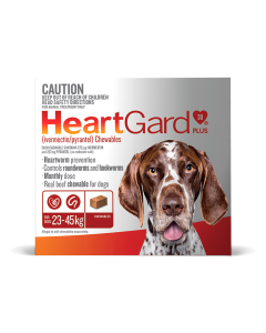 HeartGard Plus Dog Large 51 - 100lbs Brown