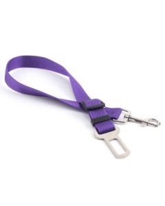 Car Safety Restraint Purple