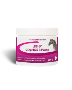 Cophos B Paste 250ml