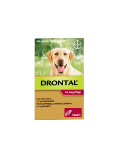 Drontal Allwormer Dog Large 77lbs 1 Tablet