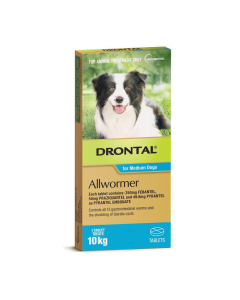 Drontal Allwormer Dog Medium 22lbs 1 Tablet