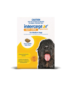 Interceptor Spectrum Dog Medium 22 - 44lbs Yellow