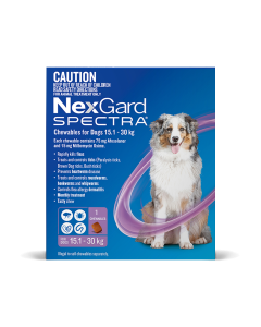 NexGard Spectra Dog Large 33.1 - 66.1lbs Purple