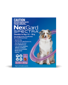 NexGard Spectra Dog Large 33.1 - 66.1lbs Purple