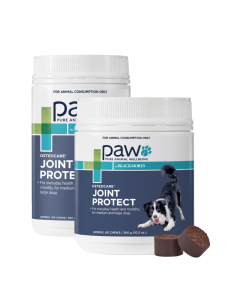 PAW Osteocare Dog Joint Protect