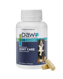 Paw Osteosupport Joint Care Powder