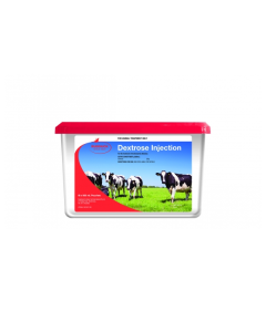 Rudduck Dextrose Injection 500mL