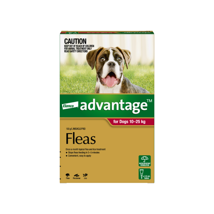Dog flea med new arrivals