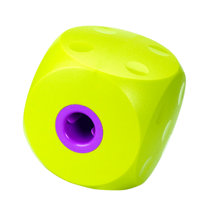 Buster cube dog toy hotsell