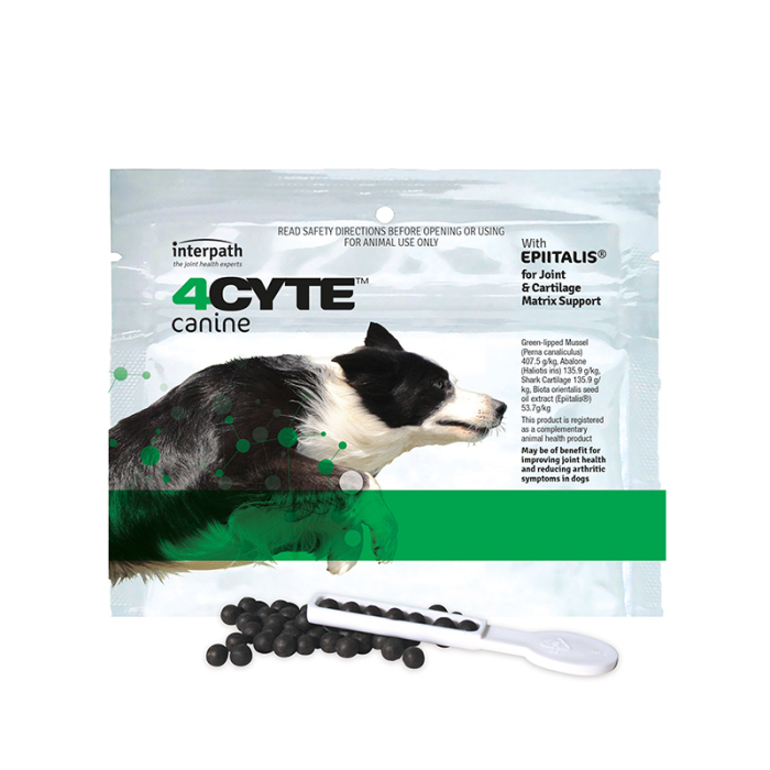 Canadian vet 2024 supply