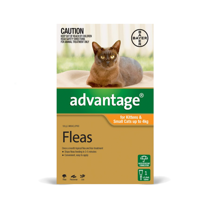 Advantage Kitten Cat Small Up To 9lbs Orange CanadaVet