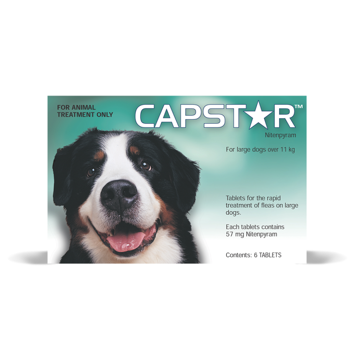 Capstar for sales dogs over 50lbs