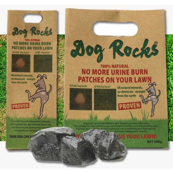 Do Dog Rocks Actually Work