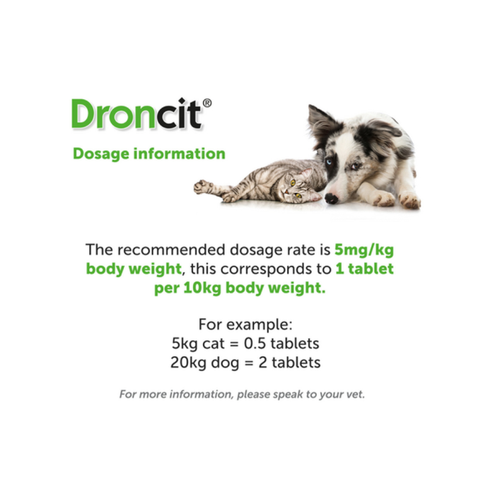 For Dogs Drontal Feline Dosage Droncit Tapewormer Dogs Cats 104