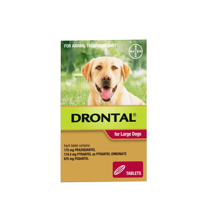 Drontal Allwormer Dog Large 77lbs 1 Tablet CanadaVet