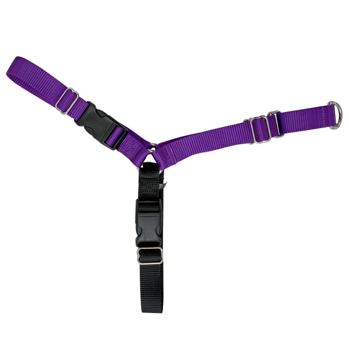 Gentle leader ewalk harness top
