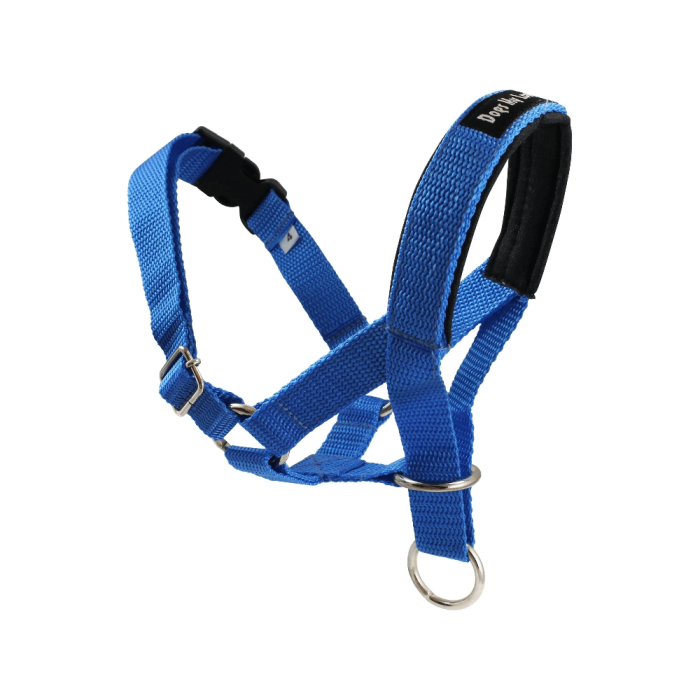 Gentle leader top head harness