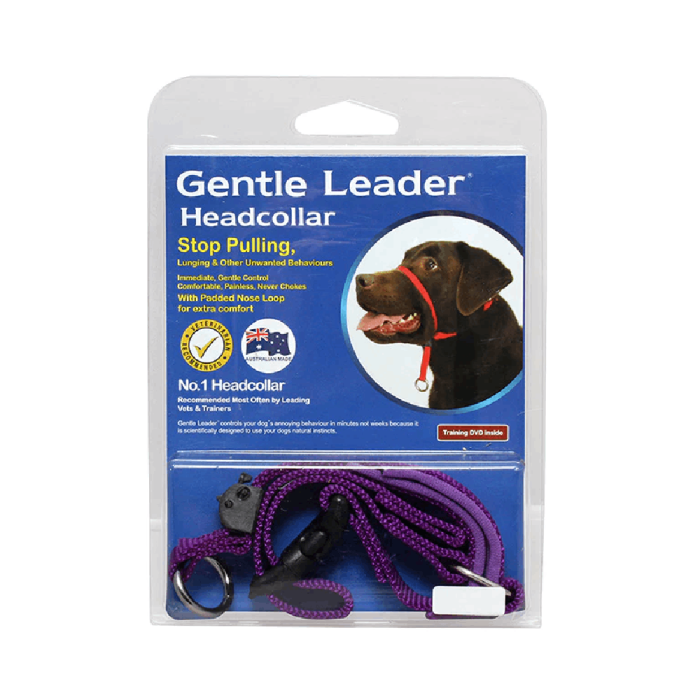 Dog head collar to stop pulling top
