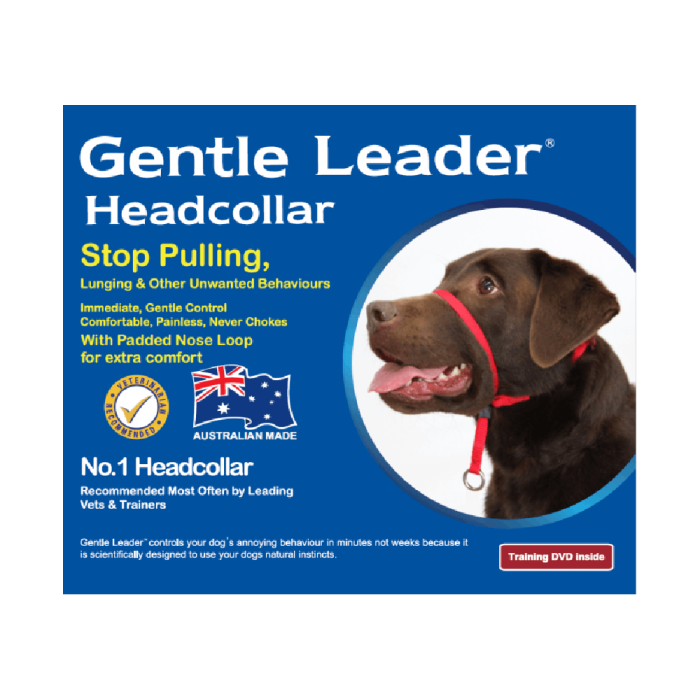 Gentle leader pet valu top