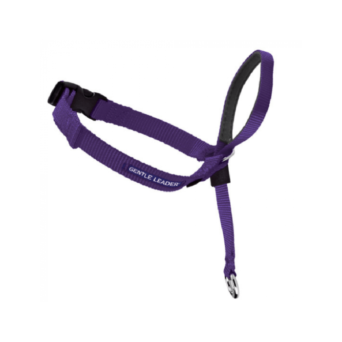 Head lead store collar