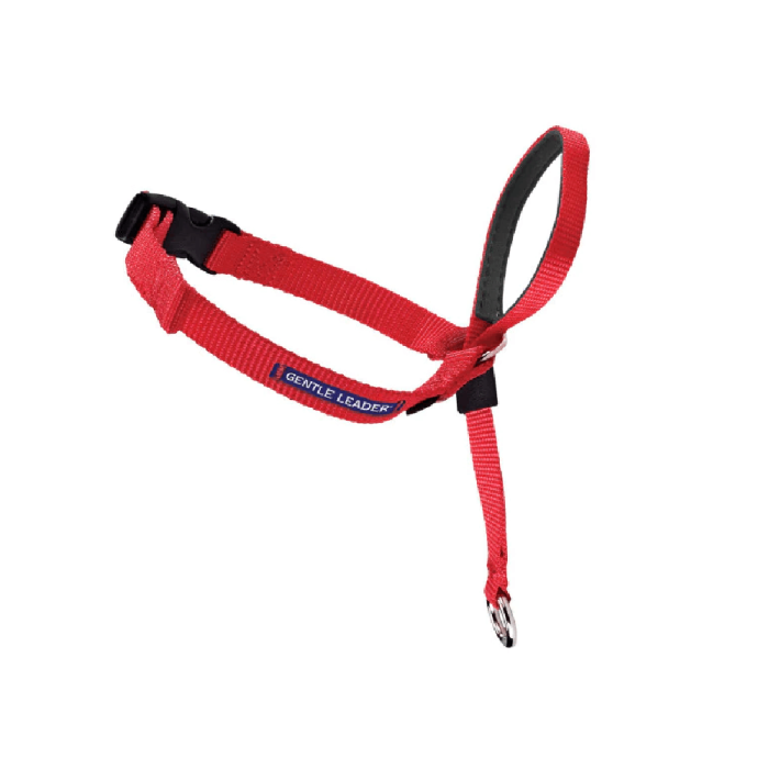Gentle leader harness purpose online