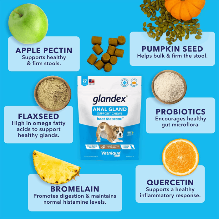 Glandex Anal Gland Support Dog Soft Chews Peanut Butter CanadaVet