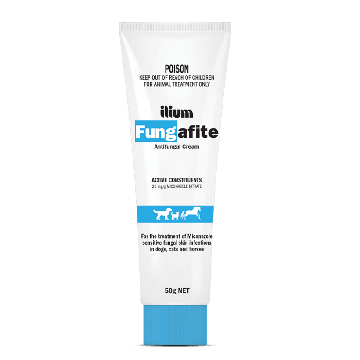 Antifungal cream safe for cats cheap
