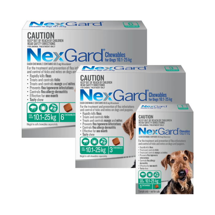 NexGard Chewables Dog Medium 24.1 60lbs Green CanadaVet