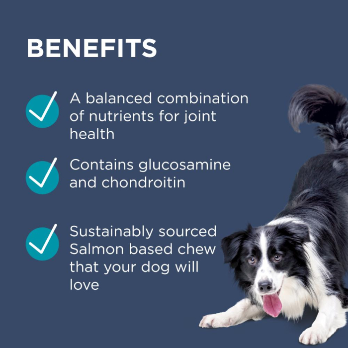 High ascorbic acid in dog urine sale