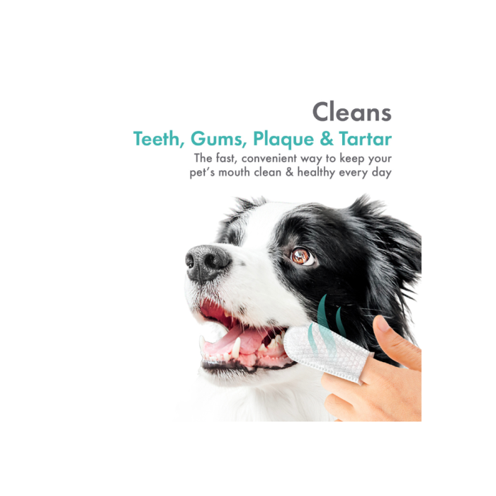 Dog teeth wipes outlet