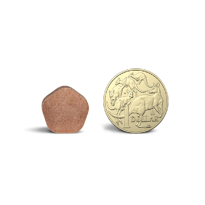 Simparica medium on sale