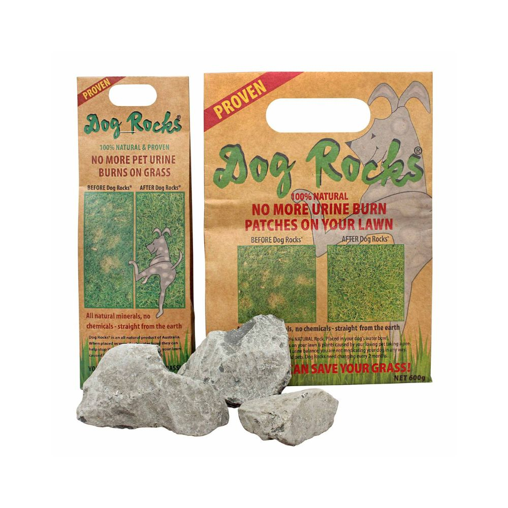 Dog Rocks