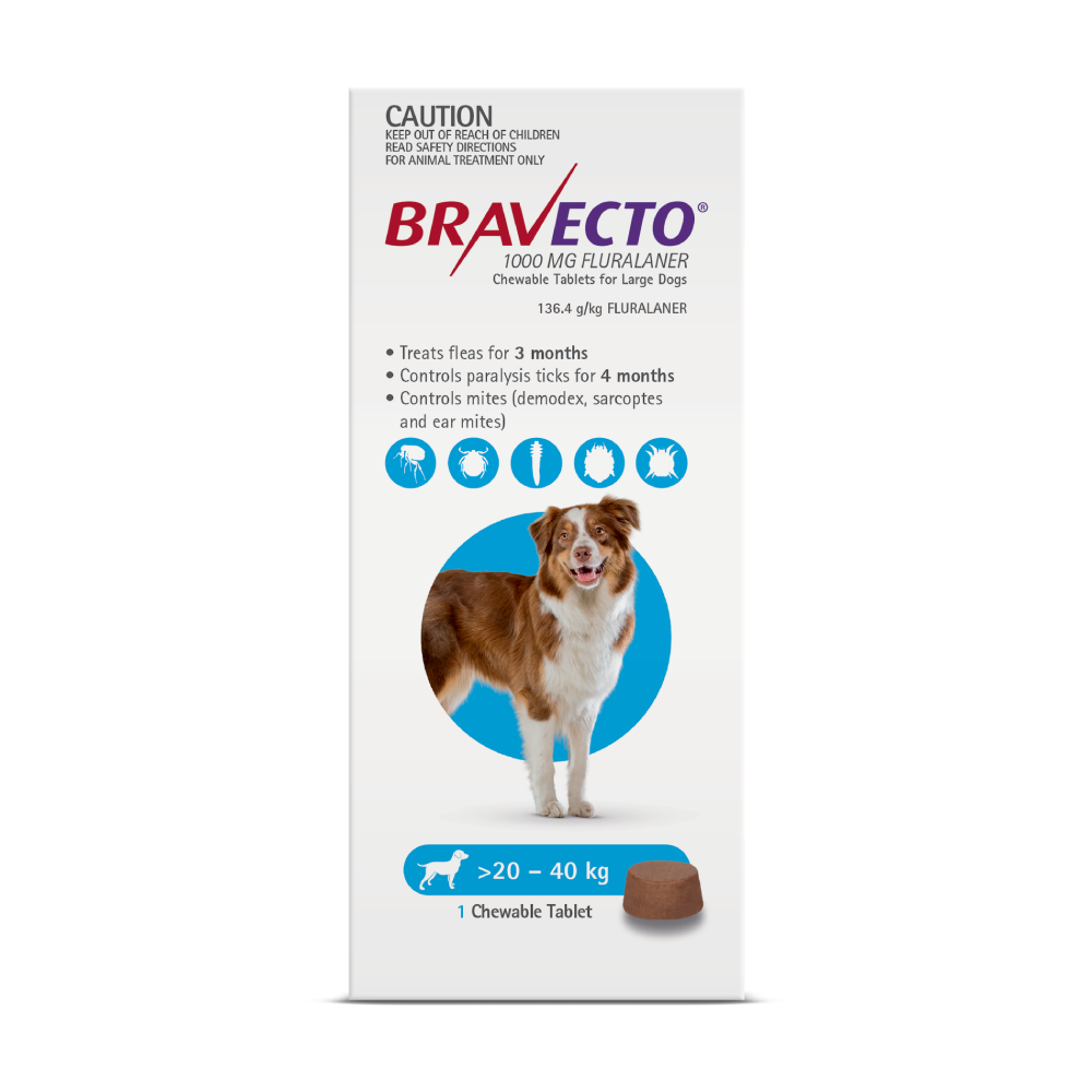 Bravecto Chewables Dog Large 44 - 88lbs Blue CanadaVet